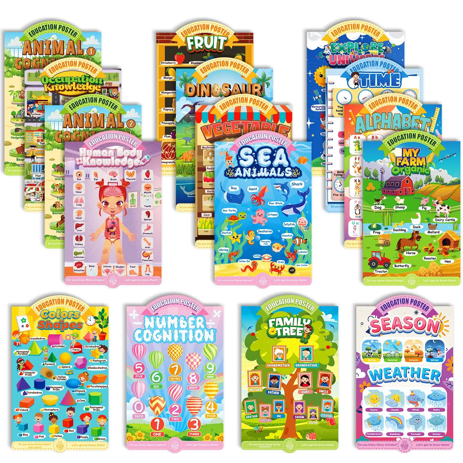 16 Pcs Laminated Educational Posters for Kids Classroom and Teacher Decor for Kids, Perfect for All Ages, Ideal for Elementary and Boho-Themed Rooms and Classrooms