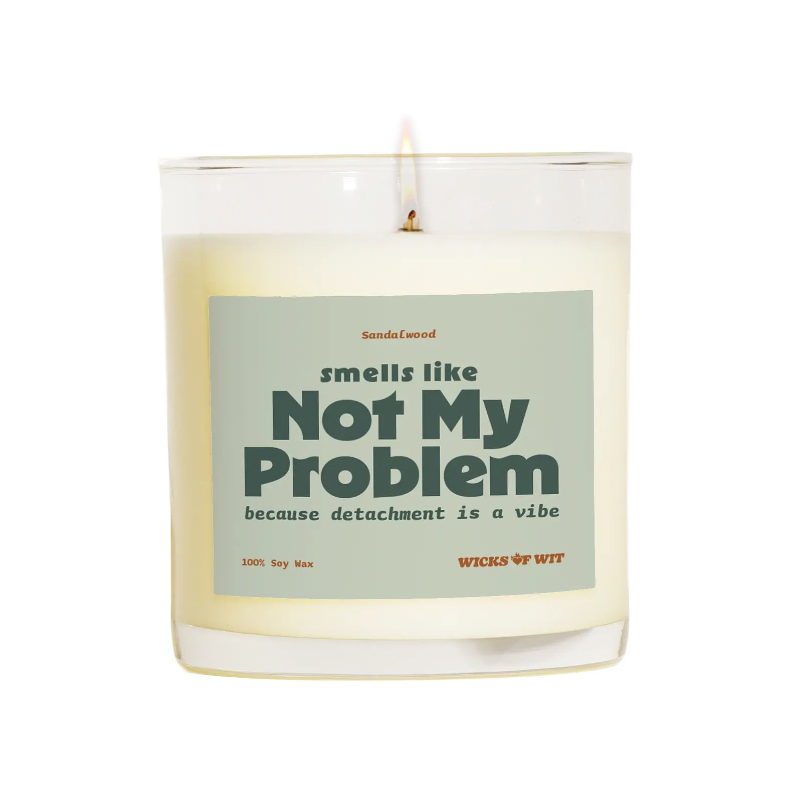 12.5oz 100% Soy Wax Scented Candle - "Smells Like, Not My Problem" Fragrance, Cruelty-Free, Phthalate-Free, 70+ Hrs Clean Burn, Hand-Poured in LA, 3.3″ High, 3″ Wide, Floatable Home Decor Room Freshener (White Sage Lavender/Atlantic Breeze)
