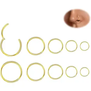 10Pcs Nose Rings 16G 18G 20G for Women - 316L Surgical Steel Hoop Hinged Clicker Conch Septum Tragus Cartilage Earring Lip Rings Nose Piercing Jewelry 6mm-14mm