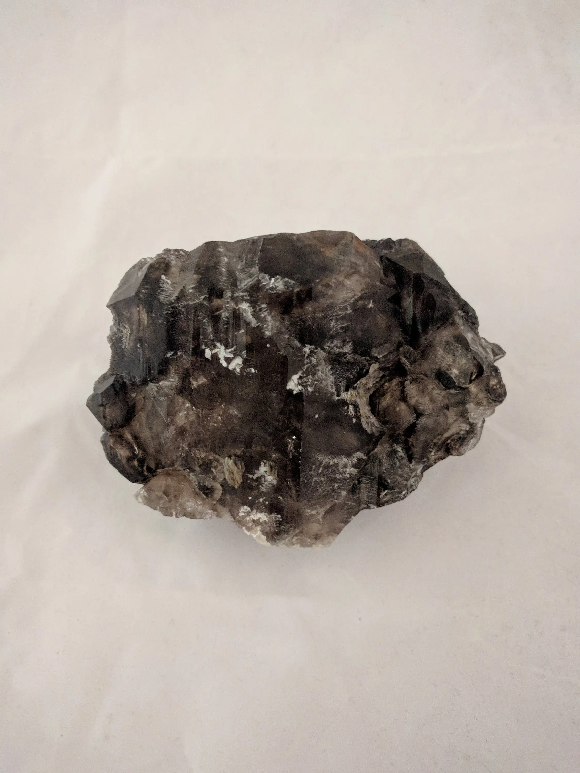 Smoky Elestial Quartz w/ Phlogopite Mica Skeletal Mineral Specimen Healing Crystal Natural Stone Cluster Large Meditation Root Chakra Rock