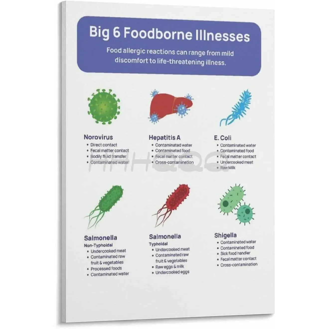 Big 6 Foodborne Illnesses Poster, Food Safety Poster (4) Canvas Wall Art Poster for Bedroom Living Room Decor 12x18inch(30x45cm) Frame-style