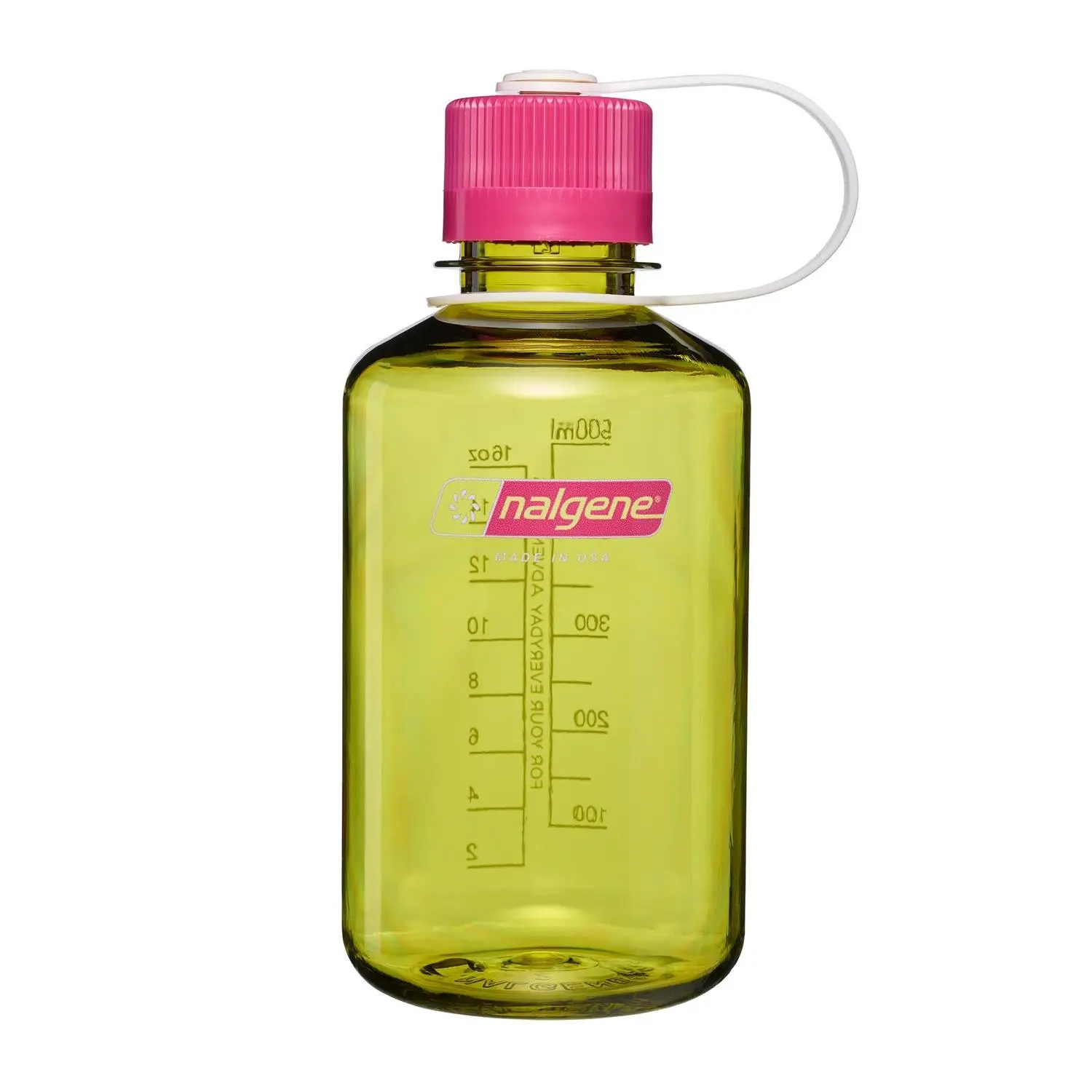 Endive with Fuchsia Purple