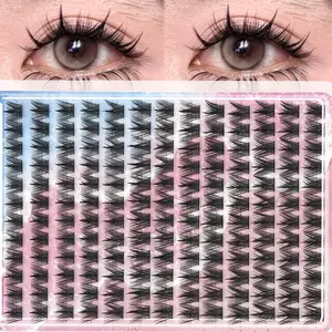 156pcs Pure Wild Devil Cartoon False Eyelashes, Segmented Fake Lashes, Eyelash Clusters, Makeup Enhancer Set, Reusable Comfortable Durable, Daily Use