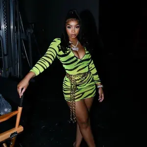 Sheer Zebra Striped Mini Dress SMALL