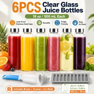 6Pcs Clear Glass Juice Bottles with Lids, 18oz Reusable Beverage Bottles with Stainless Steel Caps, Leak-Proof Transparent Drinkware Set with Cleaning Brush, Funnel & Ice Mold, for Juicing, Smoothies, Milk, Iced Coffee, Fridge Storage, Picnic & Travel