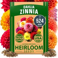 Dahlia 3.5g / 500+ Seeds