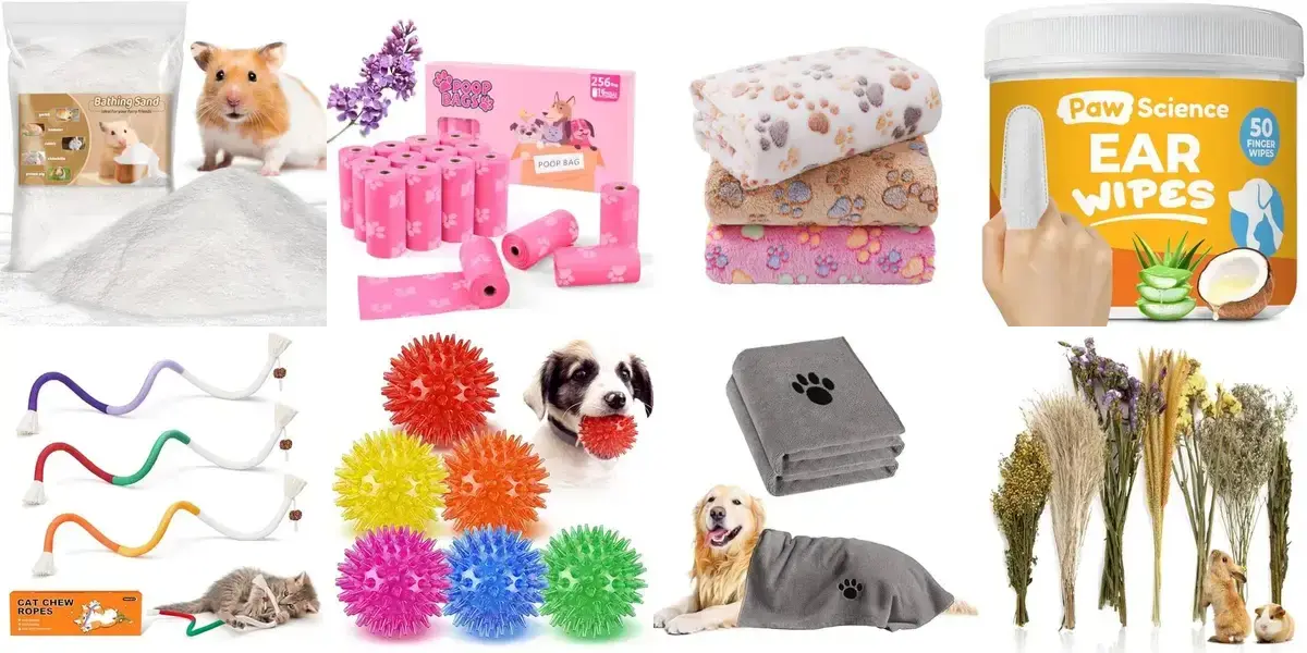 background preload poster image 