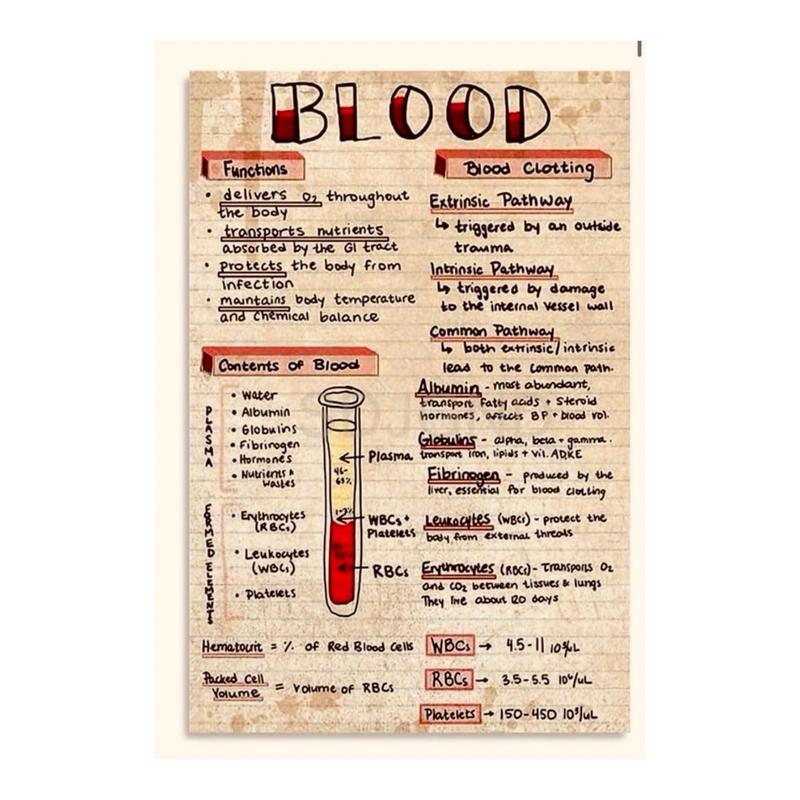 Phlebotomy Reference Phlebotomy Knowledge Medical Reference Guide Sheet - Essential Tool for ...