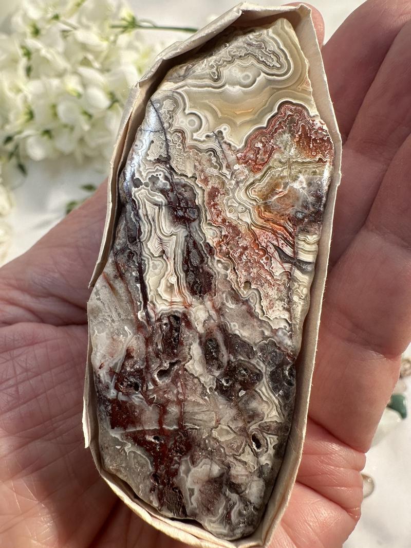 Wowzza Gallon Mining Bucket with Citrine, Amethyst, Muscovite, crazy lace agate and more home decor natural crystal