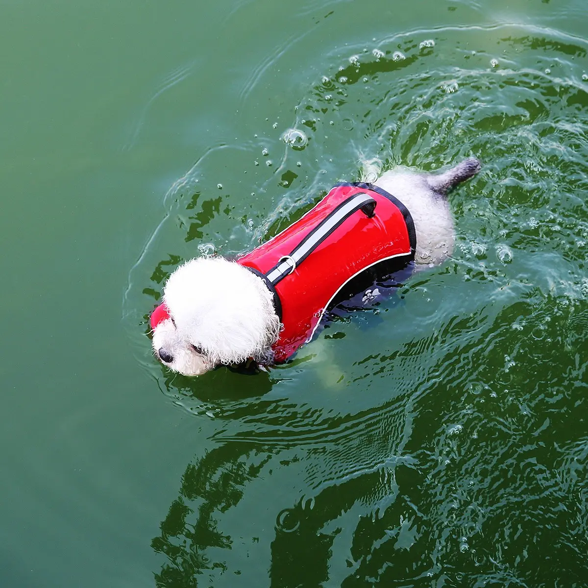 Dog clothing, poodle, animal clothing, big dog swimming suit, big dog life jacket, small and large pets can wear small animal swimming suit, handheld trial, big dog clothing, small dog diving suit, life jacket, British style clothing