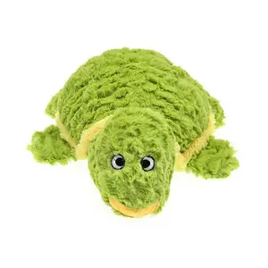 Tortoise