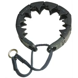 Starmark 716156 Large Buckle Collar for Dogs, Pet Collar Accessory, Buckle Collars