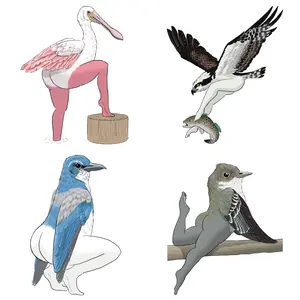 Precise Bird Stickers for Expert Birders (4-Pack) - 2026 Second Edition