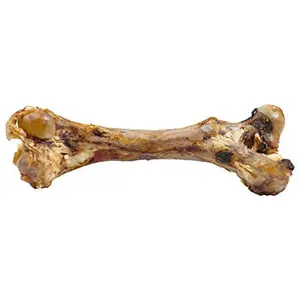 All-Natural Premium Giant Mastedon Femur Bone for Dogs