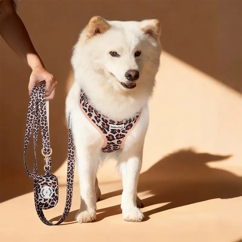 Bobotails Leopard Print Dog harness Set with Leash, No Pull Adjustable Breathable Mesh Dog Harness for Small Medium Large Dogs, Walking Travel Beach Summer Essentials
