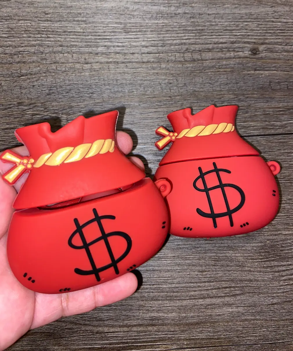Money Bag Pod Case