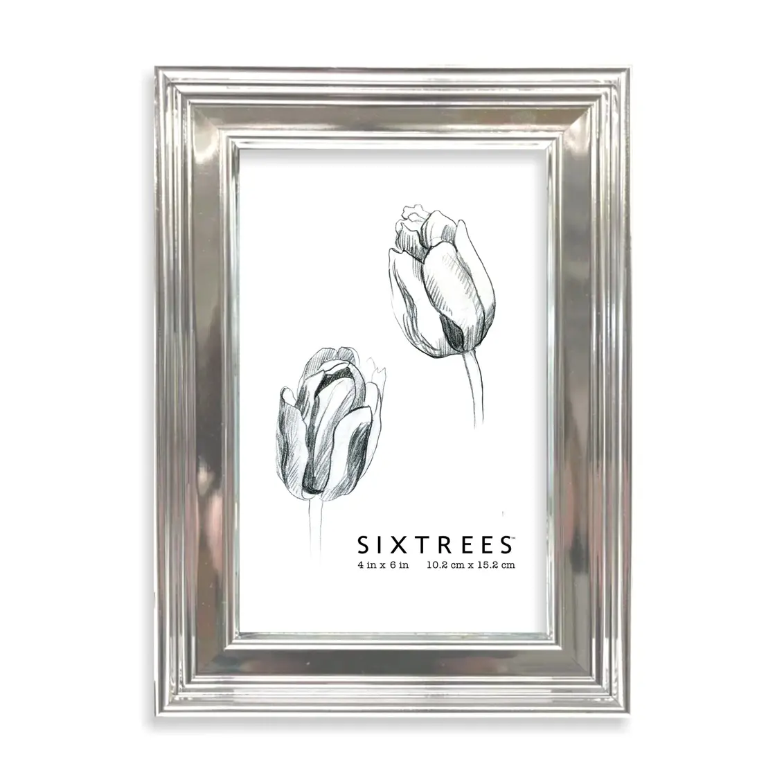 Sixtrees 16746 4 x 6 in. Fiona Silver Picture Frame