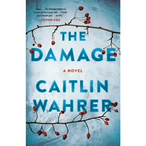 USED-The Damage by Caitlin Wahrer (Paperback)