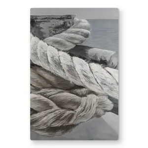 Begin Home Decor C1MP2436FLTHI4 24 x 36 in. Twisted Boat Rope Wall Art - Marine Coastal Metal Print