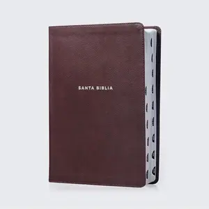 Santa Biblia NVI Updated Study Bible 2022 Leathersoft Coffee Large Print Color Interior Red Jesus Words Index Comfort Print Spanish Edition