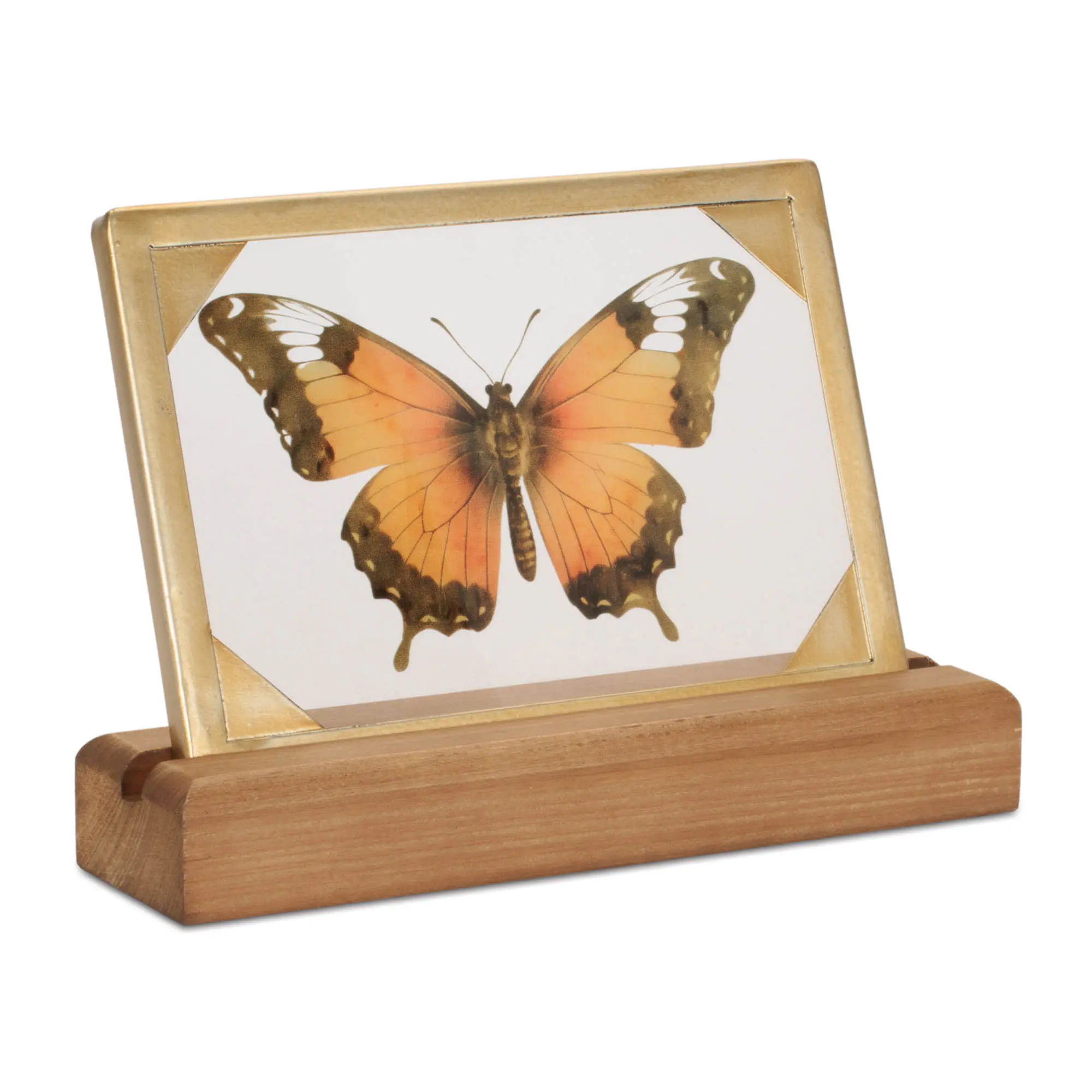 Framed Butterfly Tabletop Décor