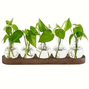 Plant Propagation Glass Bulb Vase with Wooden Tray, Mini Glass Vase Container, Perfect for Propagating Hydroponic Plants, Garden Home Office Decor, Ornaments