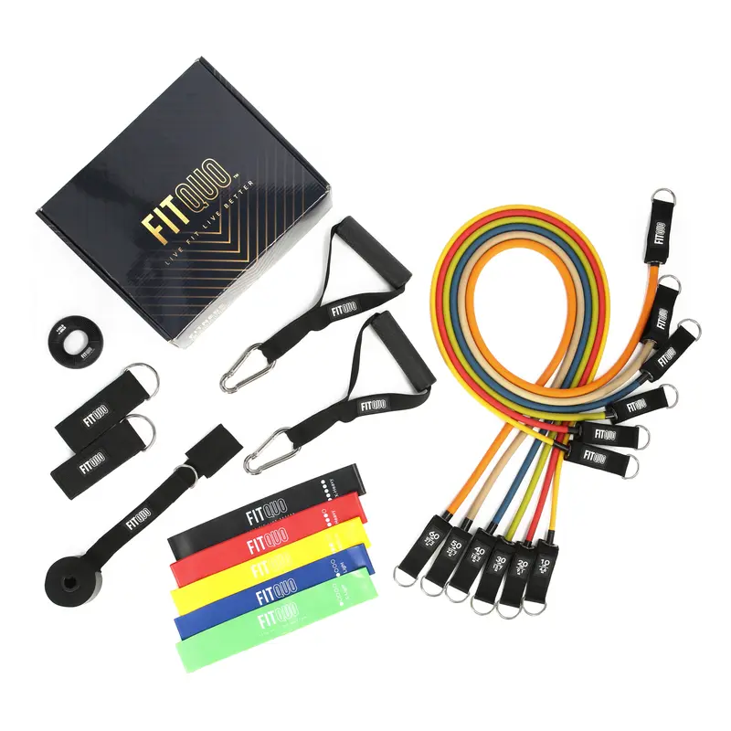 All-in-One Resistance Strength Training Program with Premium Equipment, Personalized Assessment, Structured Workouts, and Online Videos for Home Use