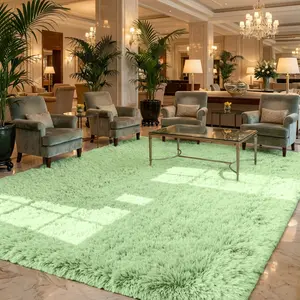 XEXSIN Fluffy Mint Green Rugs for Bedroom Living Room, Soft Plush Shaggy Light Mint Green Girls Boys Kids Rug, Non-Slip and Machine Washable Carpet for Dorm Nursery Classroom Decor