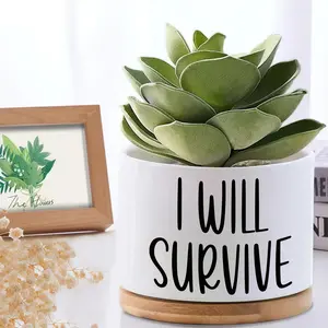 I Will Survive- Funny White Succulent Pots Home Kitchen Office Decor, Funny Mini Pot Desktop Decor, Friendship Gift for Plant Lover, Succulent Flower Pot, Cute Pots for Plants Gardening Gift,home Decor