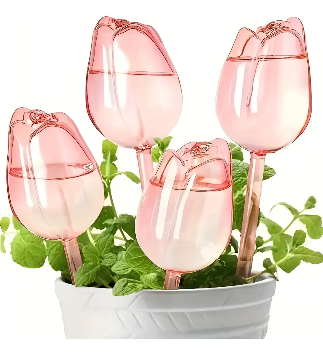 4Pcs Tulips Self Plant Watering Globes Self-Watering Stakes Indoor Outdoor 4Pcs Tulips Self Plant Watering Globes Self-Watering Stakes Indoor Outdoor