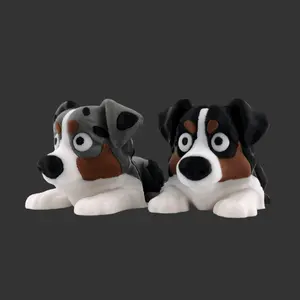 Australian Shepherd