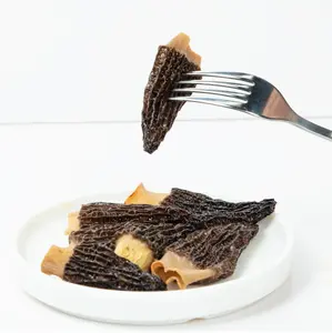 Premium Whole Large Gourmet Dried Morel Mushrooms