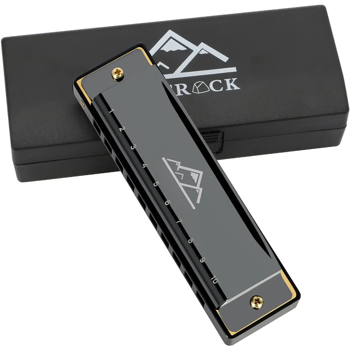Blues Harmonica Mouth Organ 10 Hole C Key with Case, Diatonic Harmonica for Professional Player, Beginner, Students gifts, Adult, Friends,  Black