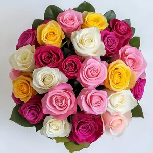 GlobalRose Fresh Cut Roses - Fresh Flowers Bouquet for Birthday, Anniversary or Home Decor - Flower Stems for Delivery