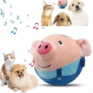 Interactive Squeaky Dog Toy