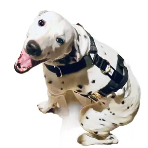 Boujee Luxury Heavy Duty Dog Harness + Leash Set for Medium to Large Sized Dogs - Nylon, Neoprene Padding, Breathable Design, Adjustable Fit