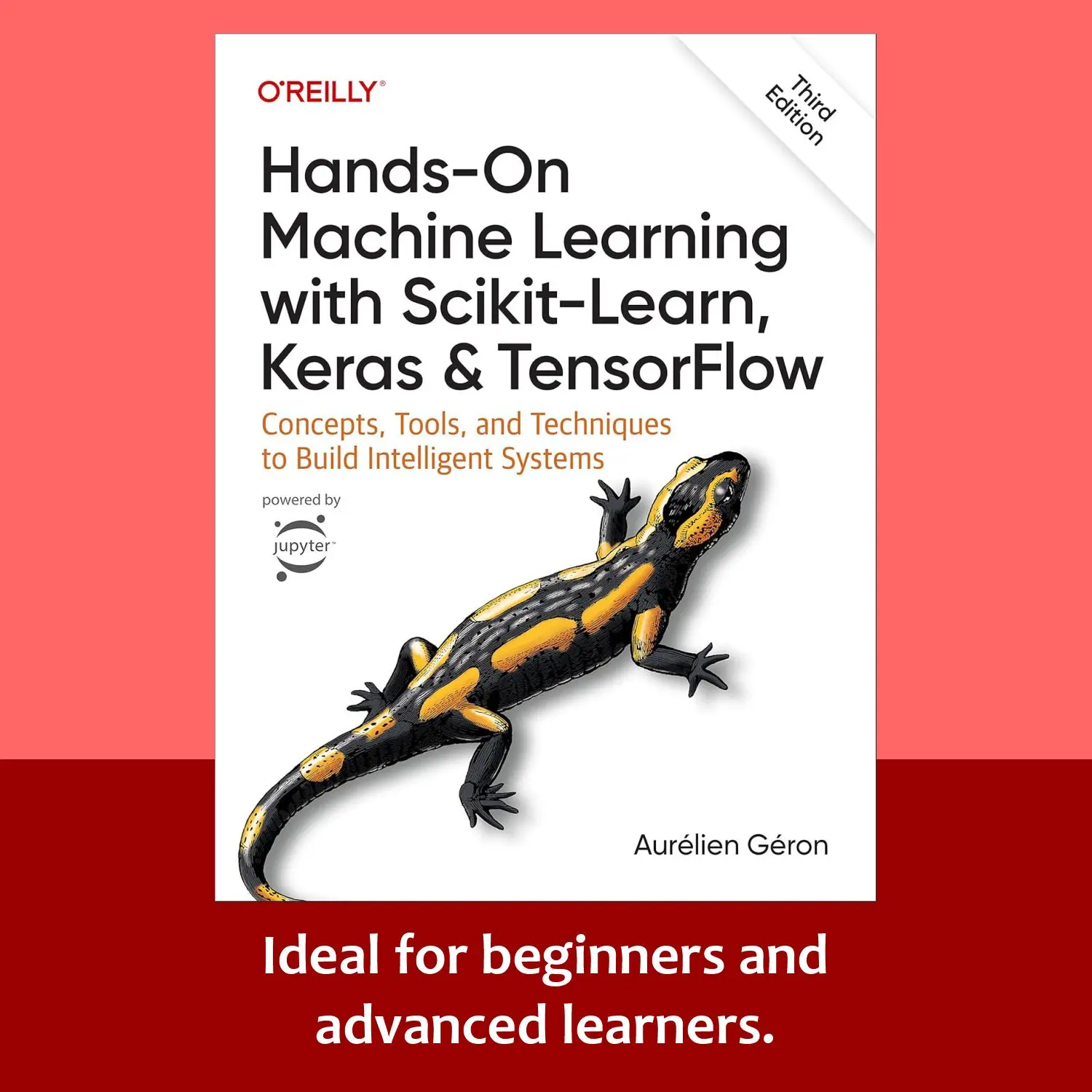 Hands-On Machine Learning with Scikit-Learn, Keras, and TensorFlow: Your Ultimate Guide to Build Intelligent Systems (3rd Edition)