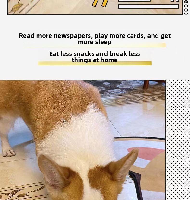 Pet Balloon Indestructible Newspaper Dog Toy Squeaky Chew for Boredom Relief Thickened Durable Teeth Cleaning Realistic Crinkle Safe Non Toxic Washable Quick Dry Interactive Play