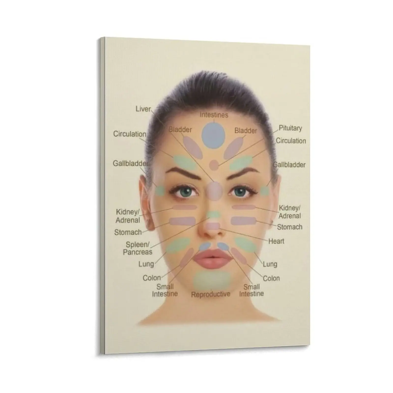 Facial Acupuncture Poster Facial Reflexology Chinese Medicine Poster Beauty Wall Art Posters Canvas Poster Bedroom Decor Sports Landscape Office Room Decor Gift Frames Ornaments decoration artwork wall  art  prints Artistic Photo Hanging Frame-.