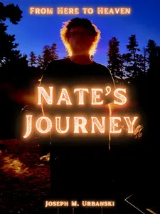 Nate's Journey: From Here to Heaven