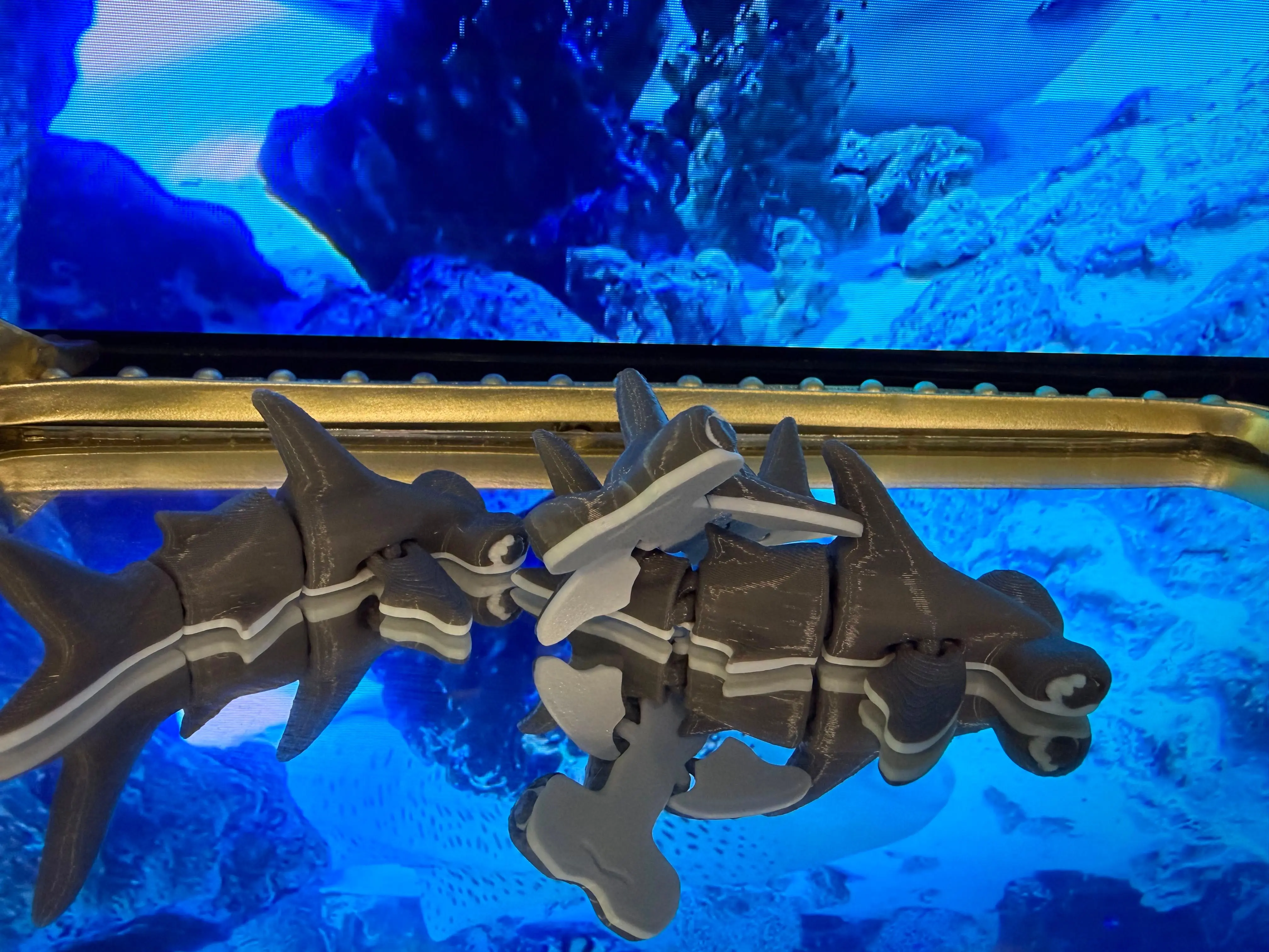 Articulated Hammerhead Shark