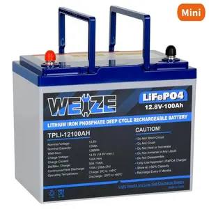 WEIZE 12V 100Ah 1280Wh LiFePO4 Lithium Battery, Group 24 Deep Cycle Battery