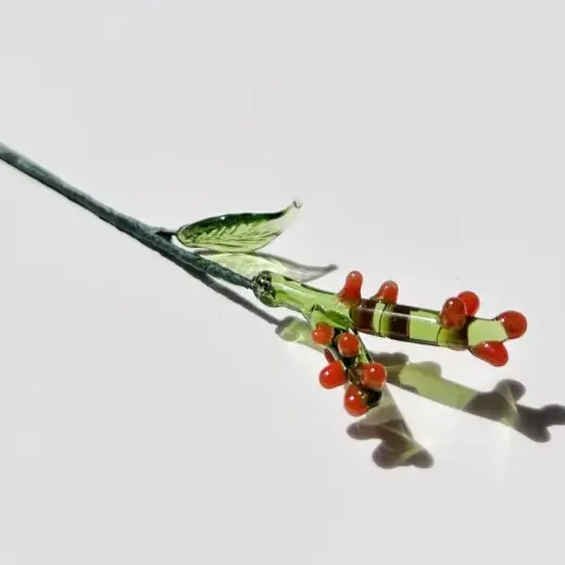 Evergreen In December