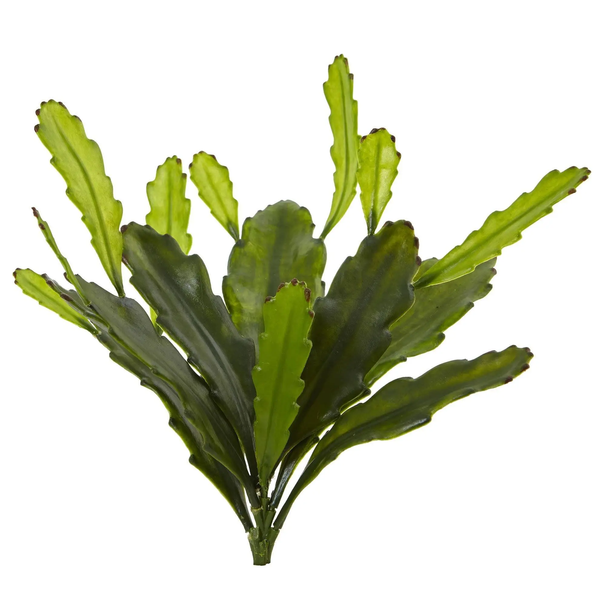 4-Piece 14in Synthetic Epiphyllum Cactus Artificial Plants Set - Floral, Leafy Texturizing Home Decor Ornaments, Plant Decor for Kitchen