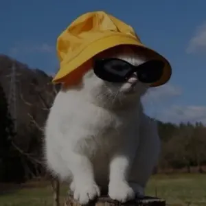 background preload poster image 