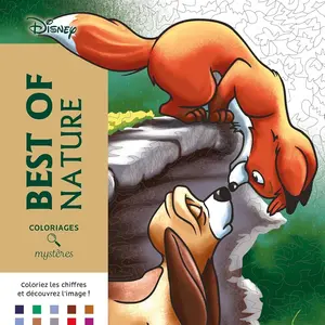 #15 - Disney Color by Numbers Coloring Book for Children and Adults - nature Cover number books Adult