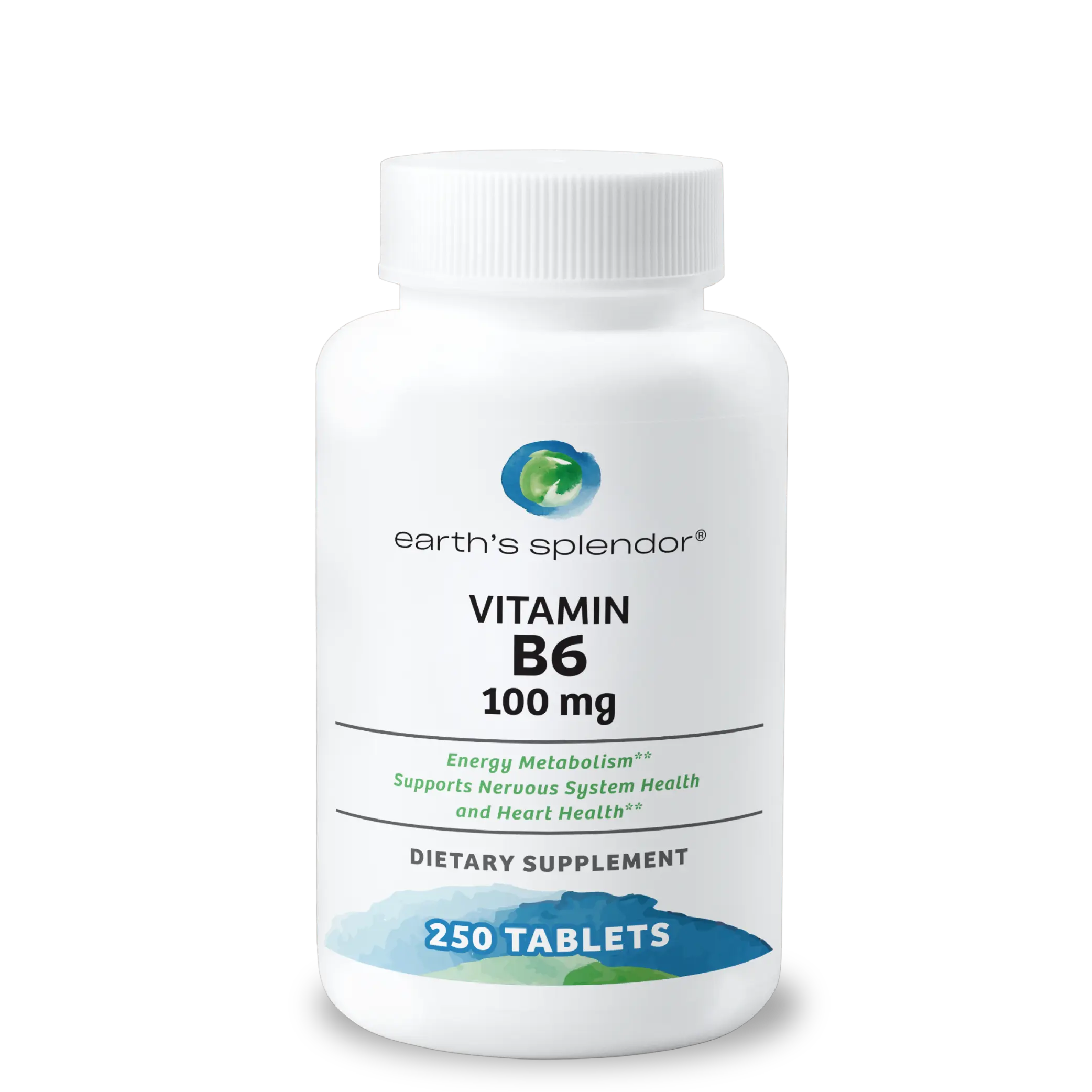 Vitamin B6 Dietary Supplement, 100 mg - 250 Tablets for Energy Metabolism, Nervous System Health - 6+ Month Supply