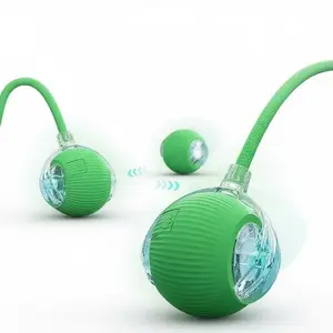 Automatic Cat Chase Toy with Tail Interactive Pet Toy for Cats and Kittens