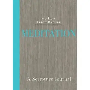 USED-Forty Days of Meditation: A Scripture Journal by Common English Bible (Paperback)