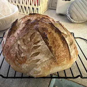 Delilah Sourdough Starter - Dehydrated Starter for Artisan Loaves, Bagels, and Baking Home Made Baked Goods